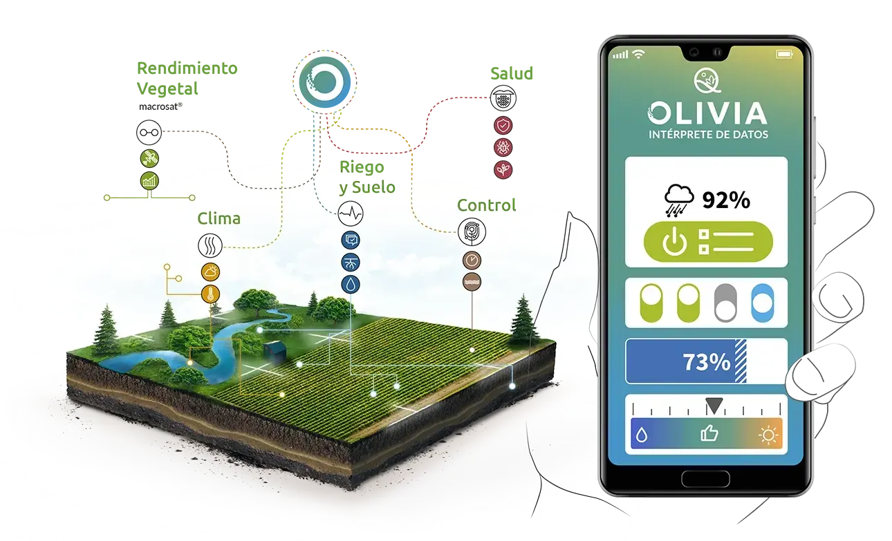 olivia datos qampo Olivia interprete de datos