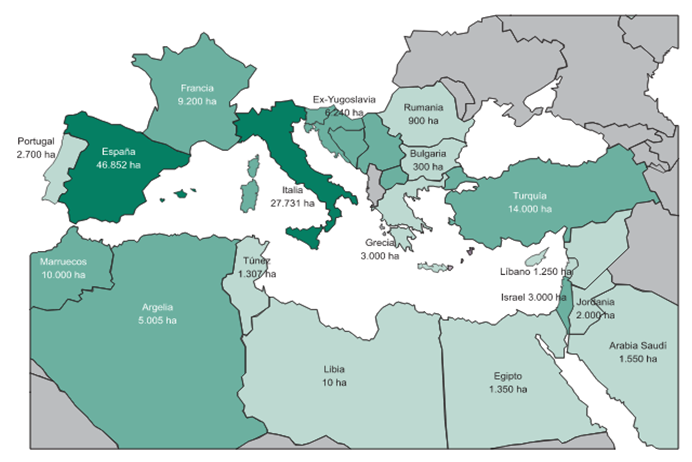 Hectáreas de cultivos en invernadero en los países mediterráneos en 1999 Hectáreas de cultivos en invernadero en los países mediterráneos en 1999