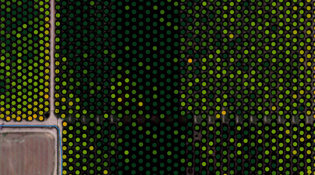 Detalla donde se aprecia un piunto amarillo sobre los verde oscuro. Diferencias entre análisis agronómico del satélite NDVI