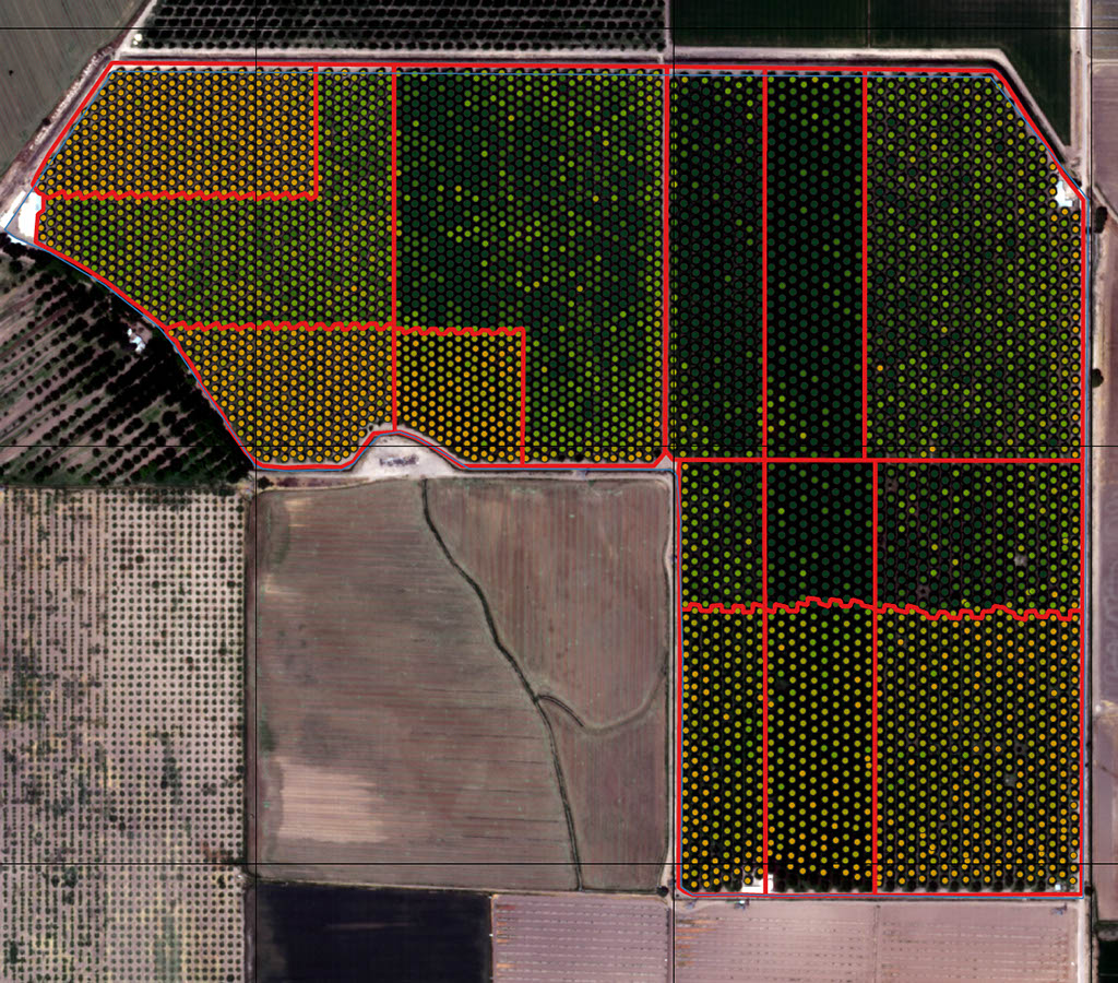 Imagen Macrosat finca Nogales. Diferencias entre análisis agronómico del satélite NDVI