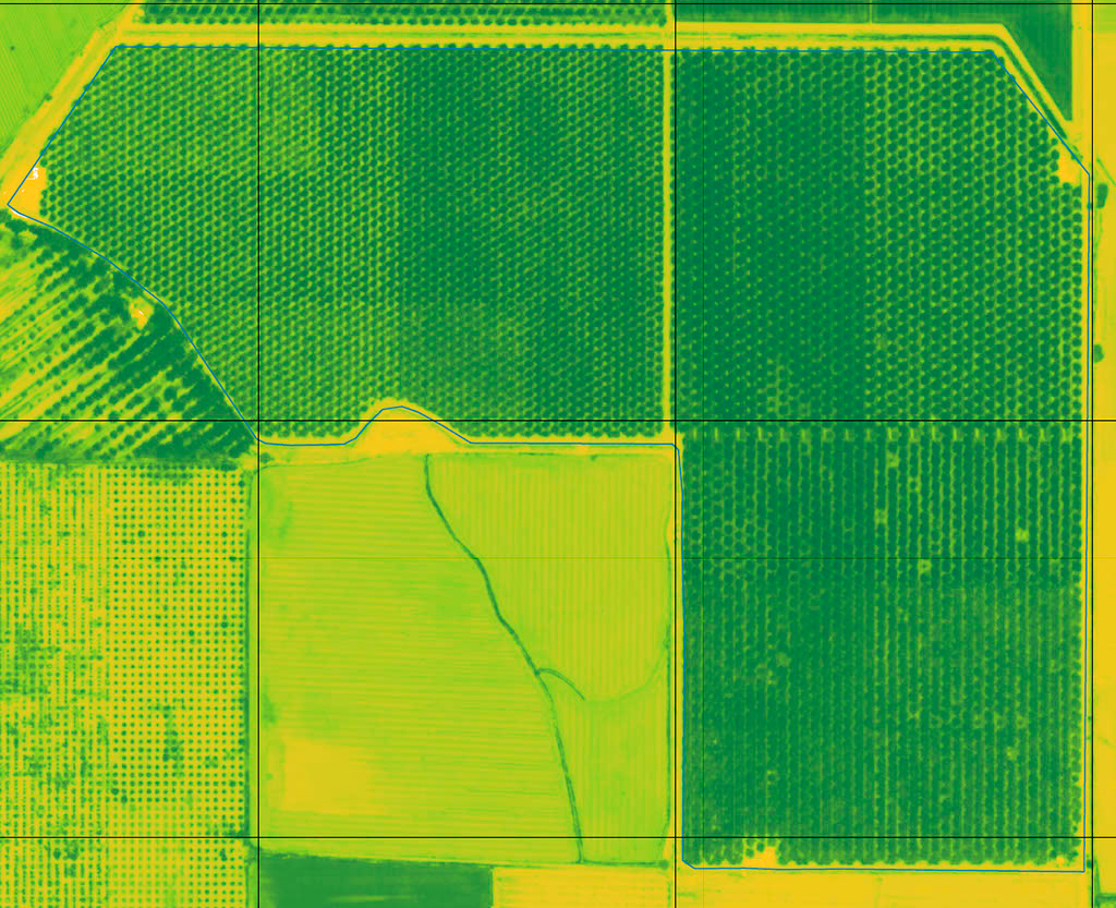 imagen que se ve totalmente verde