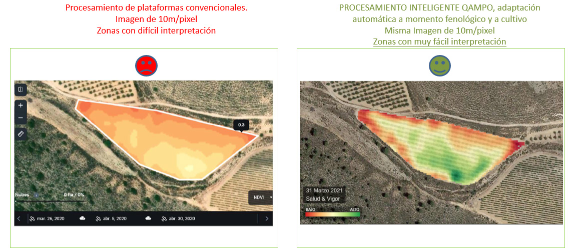 Imagen comparativa entre NDVI y Macrosat