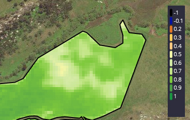 Imagen típica de solución NDVI