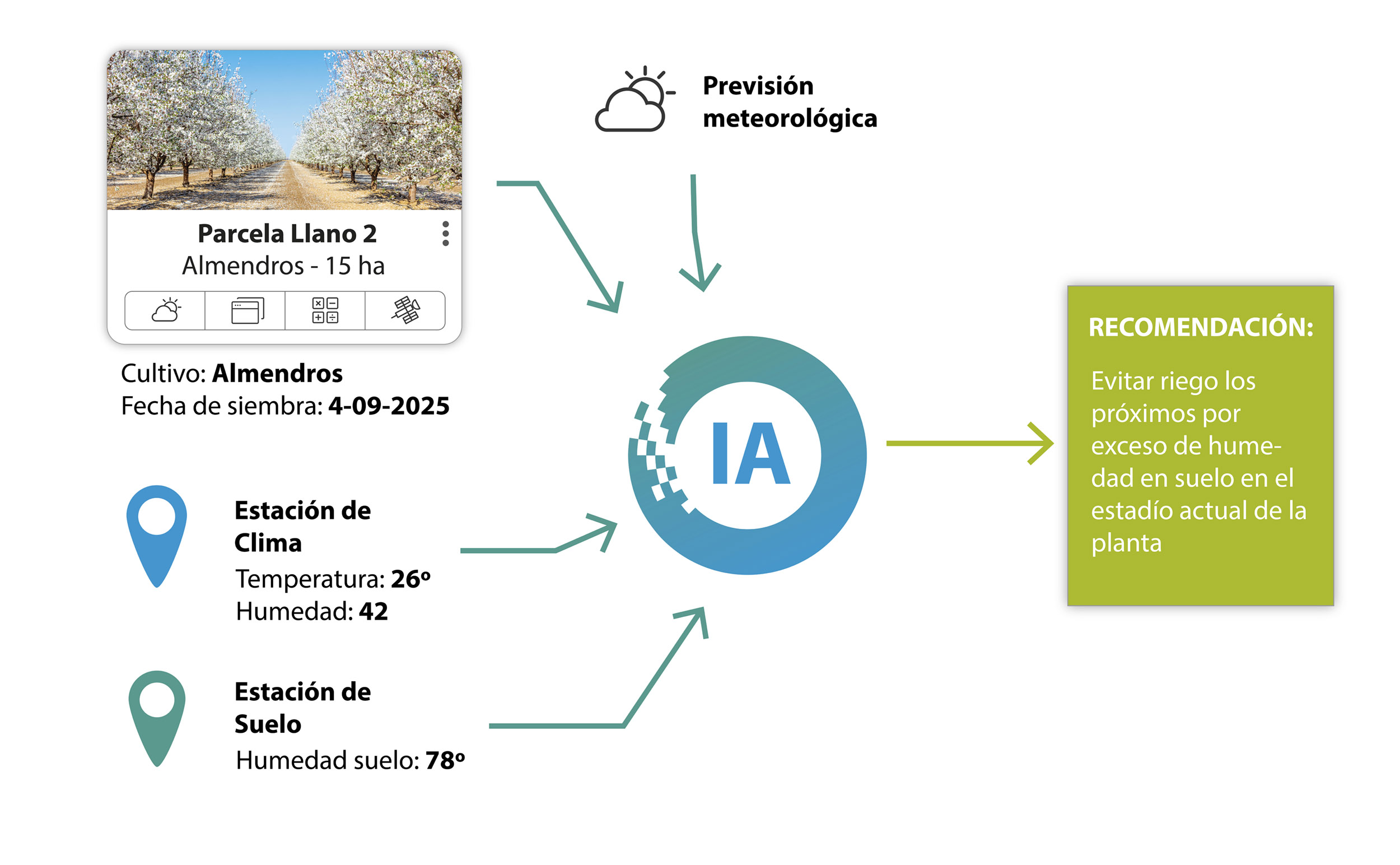 En la imagen vemos como la inteligencia artificial toma multiples datos, desde los sensores hast alos proporcionados por el usuario, y en base a ellos emite recomendaciones específicas