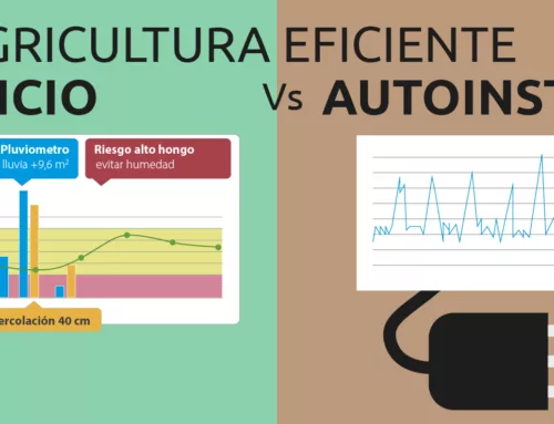 Compara servicio versus autoinstalables, agricultura de precisión